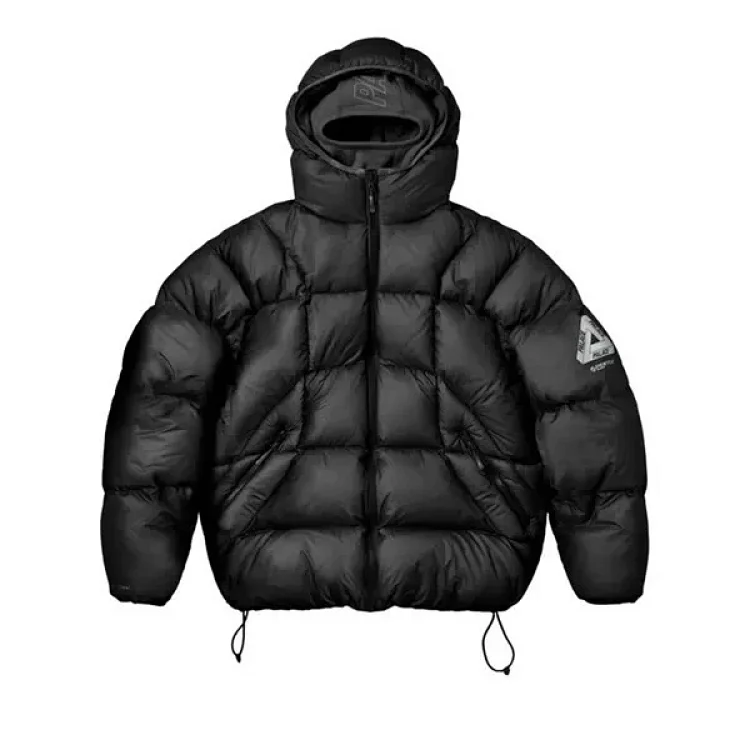  Palace down jacket