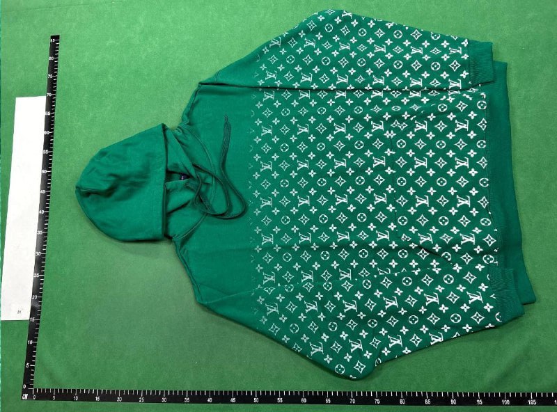  Louis Vuitton hoodie  (30 CP -2