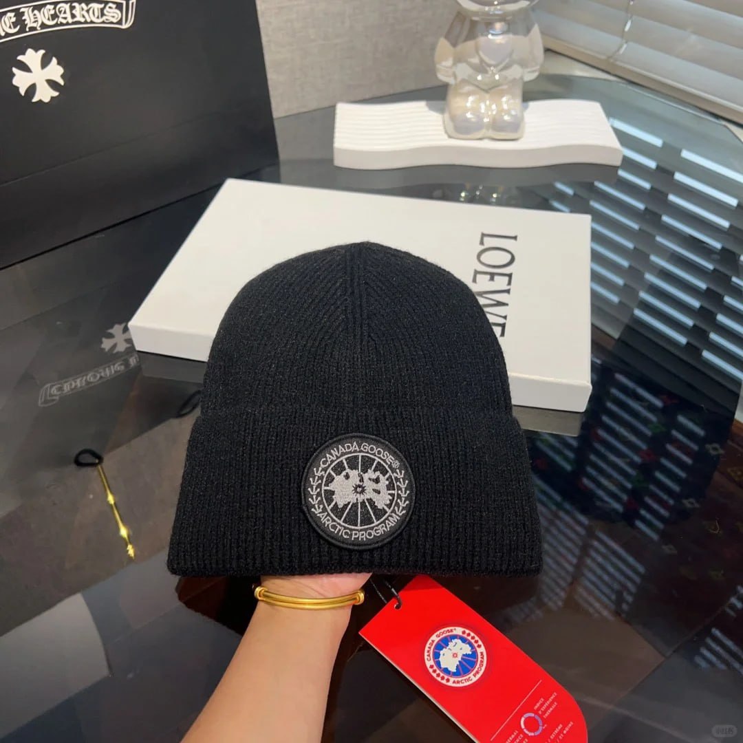 canada goose knitted warm hatLacoste cap -3