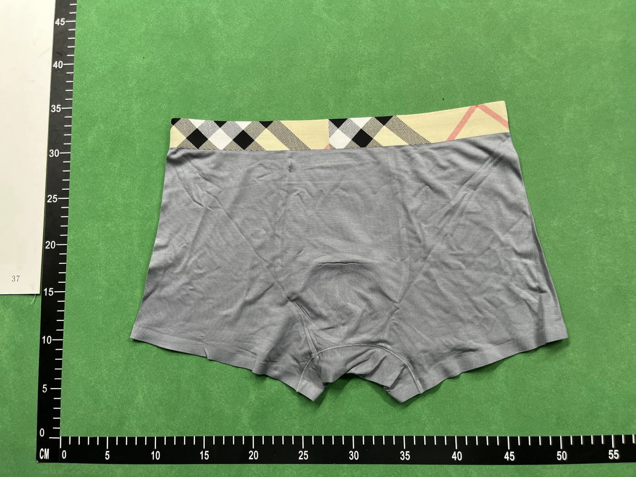 underwear -2