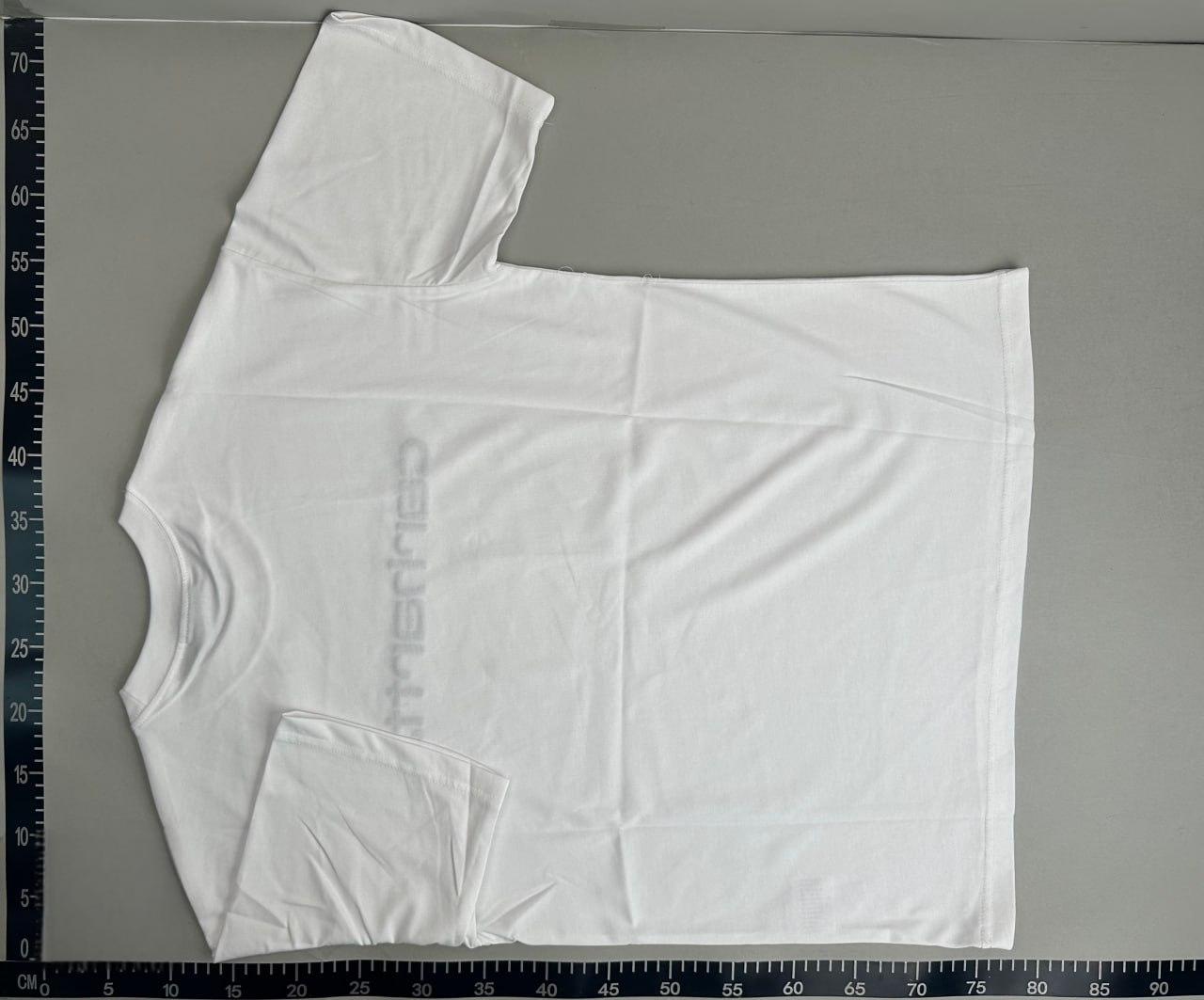 carhartt tee -2