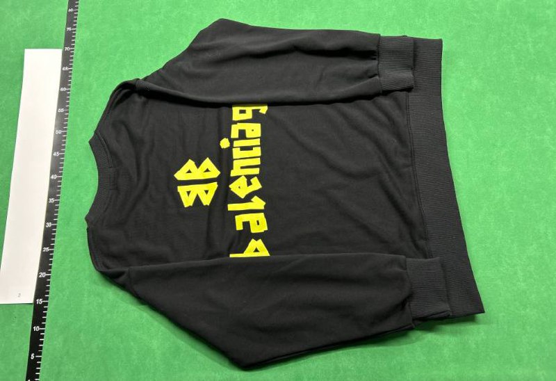 Balenciaga BB Logo Sweatshirt [17 styles] -3