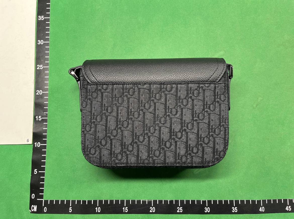 Dior Bag -2